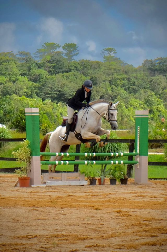 Cavalière sur un cheval gris pommelé franchissant un obstacle vert et blanc
