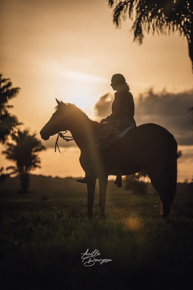 Silhouette d'une cavalière à cheval au soleil couchant, sous les palmiers