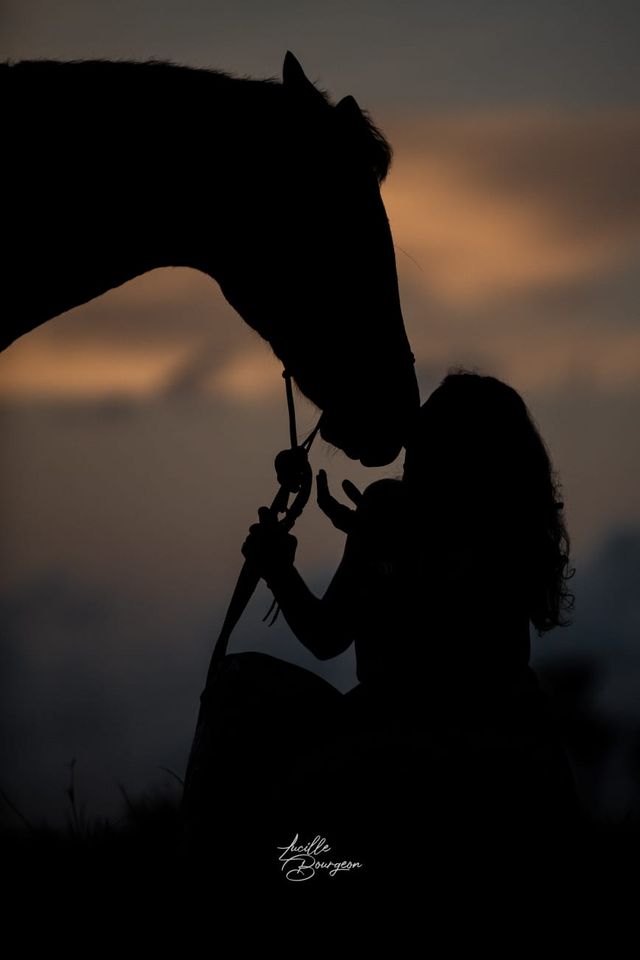 Silhouette au crépuscule d'une cavalière posant le front contre le naseau de son cheval