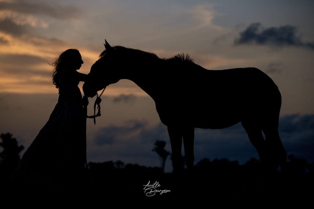 Silhouette d'une femme caressant le visage de son cheval au crépuscule
