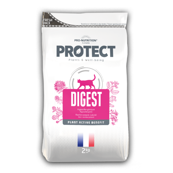 PROTECT CHAT DIGEST